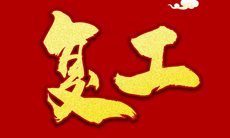 二月二日新雨晴，群芳吐绿一时生。二月二，我们复工了！